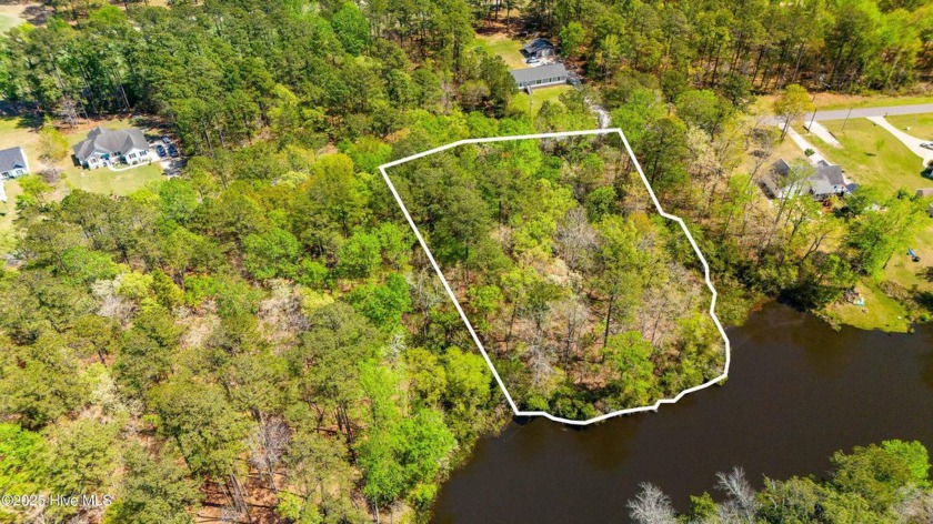 Discover the perfect blend of natural beauty and convenience - Beach Lot for sale in Minnesott Beach, North Carolina on Beachhouse.com