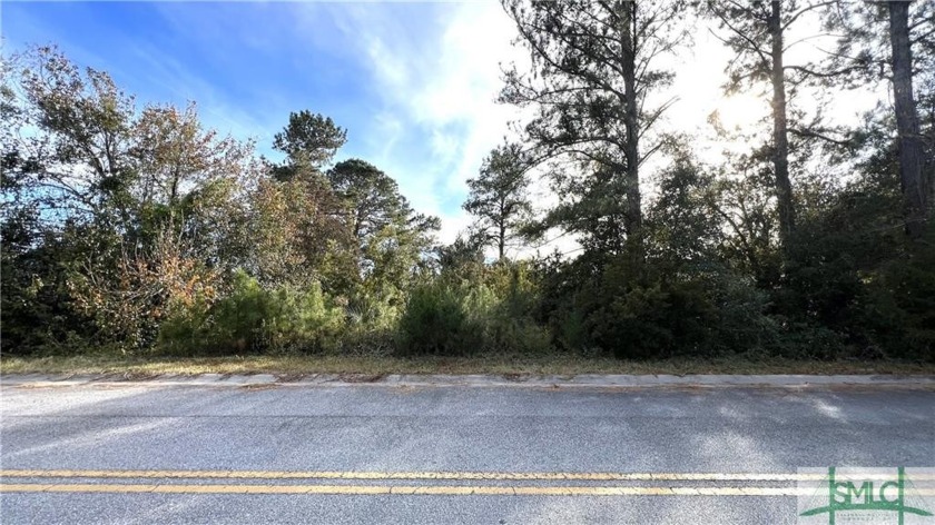 Deep water lot right at the Jerico River with mature trees in a - Beach Lot for sale in Midway, Georgia on Beachhouse.com