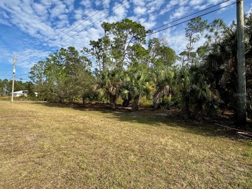 Discover the perfect canvas for your dream home on this - Beach Lot for sale in North Port, Florida on Beachhouse.com