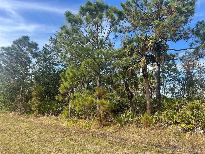 Looking for that perfect piece of land to build your slice of - Beach Lot for sale in Port Charlotte, Florida on Beachhouse.com