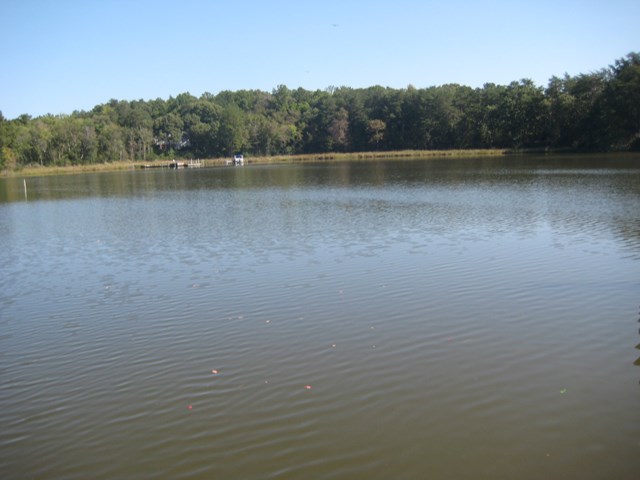 Large Great Wicomico River lot with pier. MLW 3 feet.  Great - Beach Lot for sale in Heathsville, Virginia on Beachhouse.com