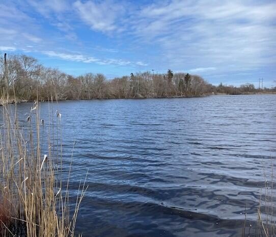 Cedar Pond Orleans.  Nature enthusiasts and privacy seekers will - Beach Acreage for sale in Orleans, Massachusetts on Beachhouse.com