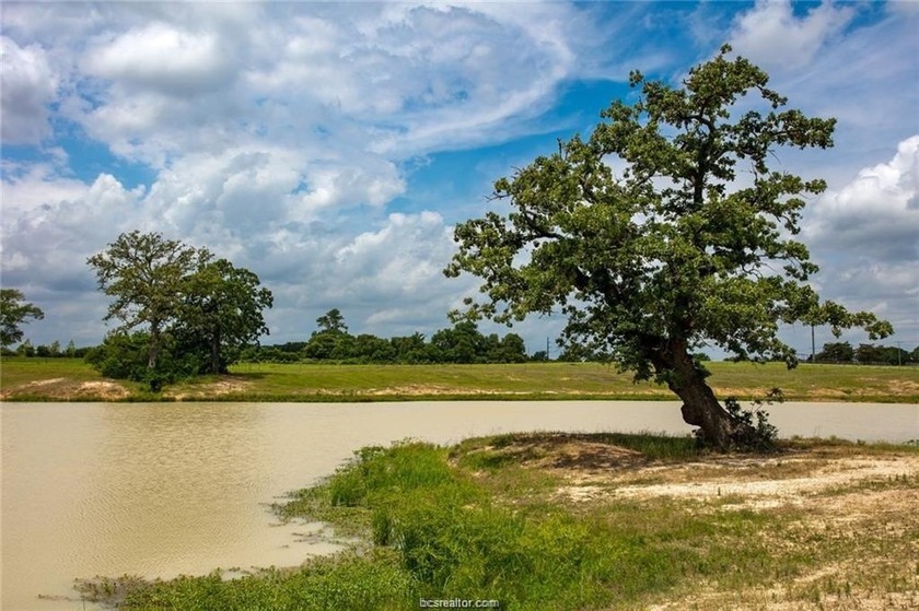 Located less than 15 minutes south of College Station, this - Beach Acreage for sale in Millican, Texas on Beachhouse.com