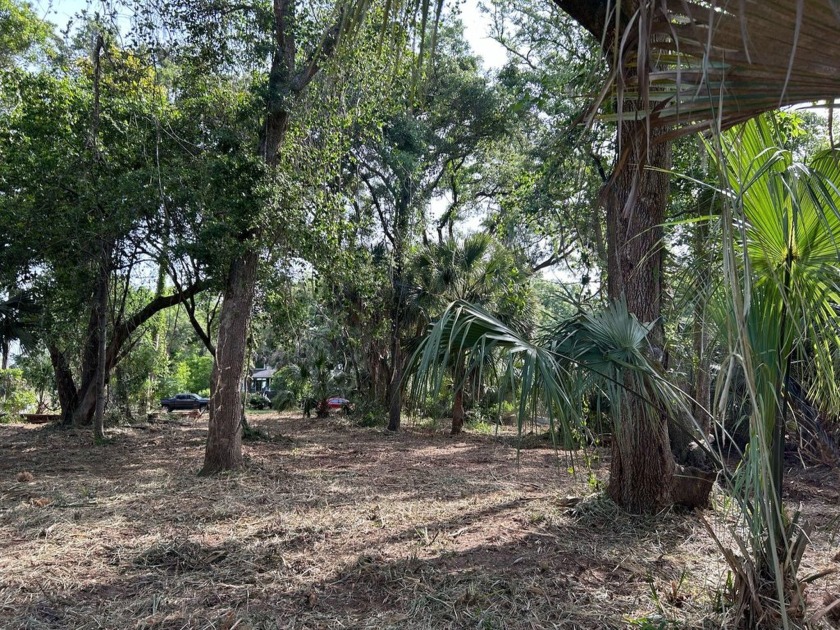Build your island escape on this beautiful homesite in The Neck - Beach Lot for sale in Edisto Island, South Carolina on Beachhouse.com