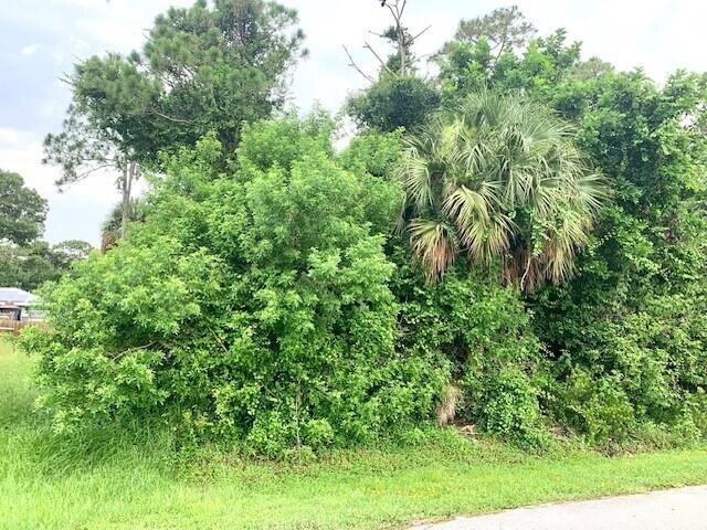 THIS BEAUTIFUL TREED LOT IS WITHIN WALKING DISTANCE TO PALM LAKE - Beach Lot for sale in Fort Pierce, Florida on Beachhouse.com