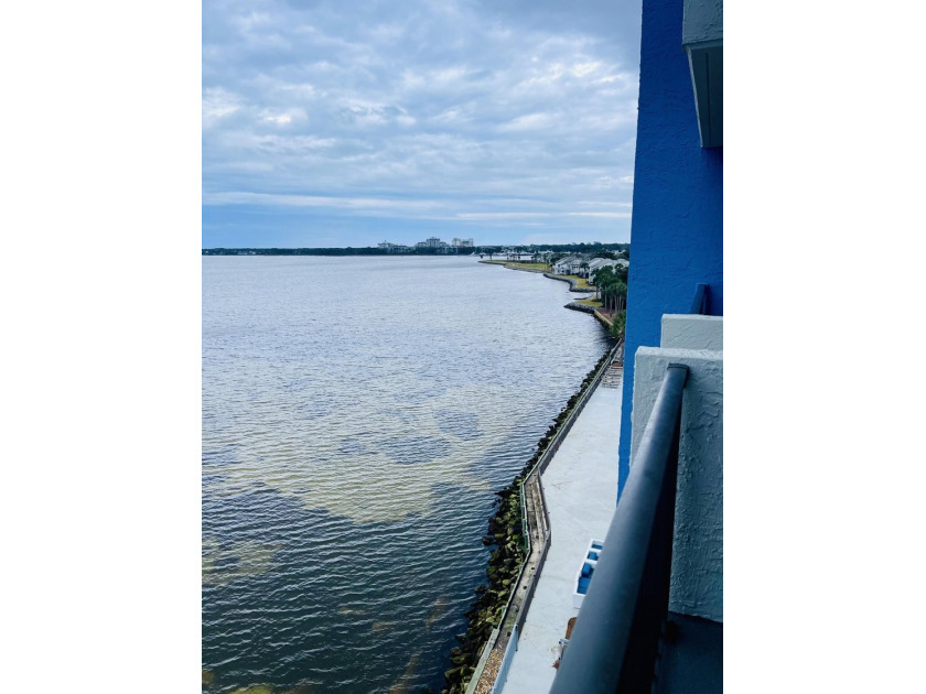 Wake up to sweeping bay views and the calm, palm-lined beauty of - Beach Condo for sale in Miramar Beach, Florida on Beachhouse.com