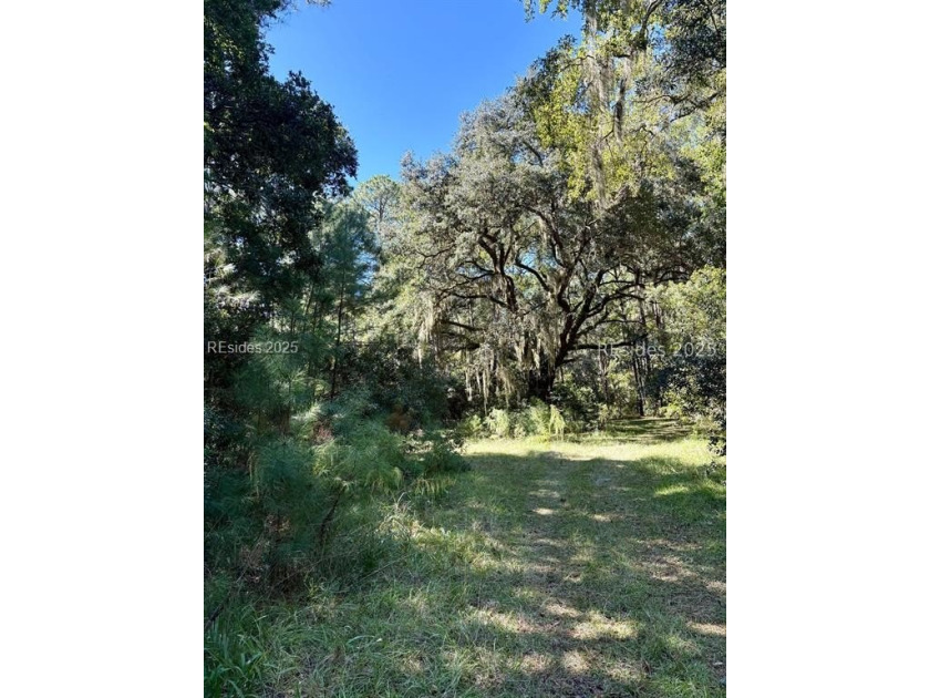 Beautiful .52-acre lot nestled among live oaks on tranquil - Beach Lot for sale in Daufuskie Island, South Carolina on Beachhouse.com