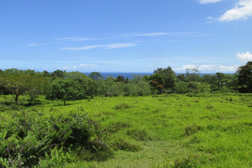 Ocean and Hilo Bay Views from this nicely elevated parcel with - Beach Acreage for sale in Hilo, Hawaii on Beachhouse.com