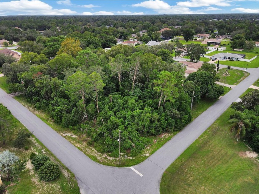 Looking for a serene neighborhood to build your dream home? - Beach Lot for sale in Spring Hill, Florida on Beachhouse.com