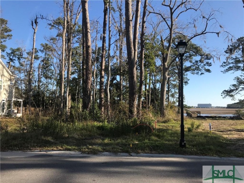 Exclusive chance to acquire a marshfront lot for less than $290 - Beach Lot for sale in Savannah, Georgia on Beachhouse.com