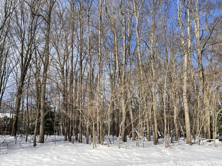 Build your dream home in this beautiful, scenic spot on one of - Beach Lot for sale in Douglas, Michigan on Beachhouse.com