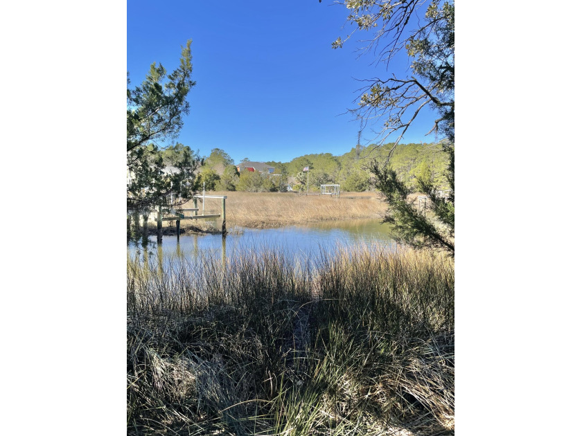 If you're looking for a peaceful setting with stunning water - Beach Lot for sale in Mount Pleasant, South Carolina on Beachhouse.com