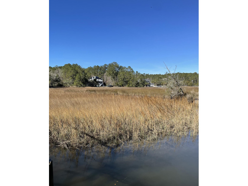 If you're looking for a peaceful setting with stunning water - Beach Lot for sale in Mount Pleasant, South Carolina on Beachhouse.com