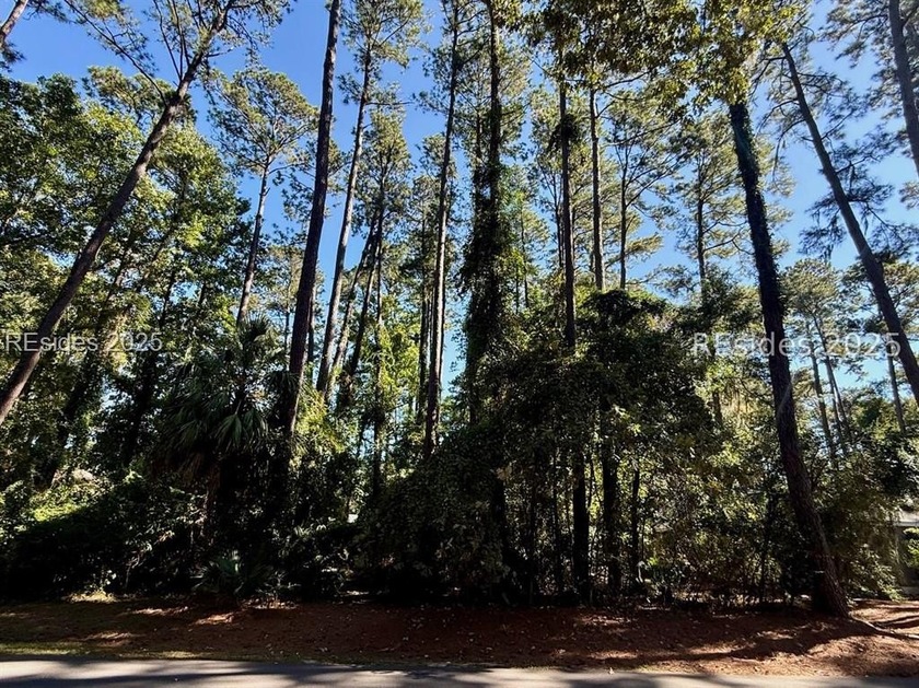 This large high and dry .505 acre homesite offers incredible - Beach Lot for sale in Okatie, South Carolina on Beachhouse.com