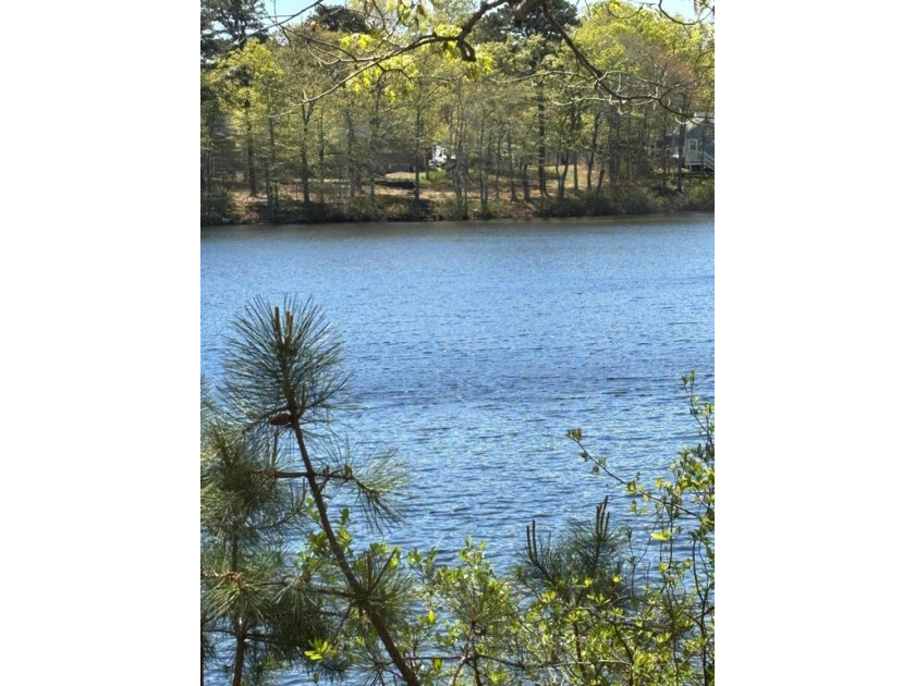 Diamond in the rough, Waterfront ranch on Jabinettes Pond, 3 - Beach Home for sale in West Yarmouth, Massachusetts on Beachhouse.com