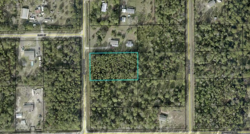 Under contract-accepting backup offers. Nice lot located on - Beach Lot for sale in Bunnell, Florida on Beachhouse.com