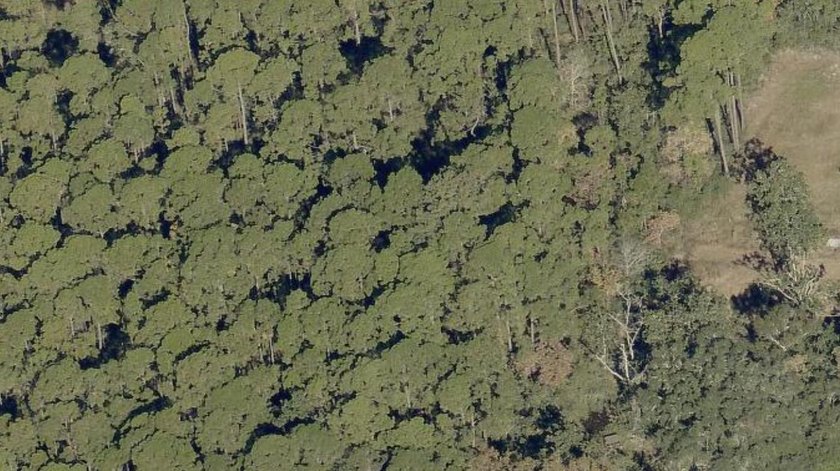 Seize the opportunity to create your perfect sanctuary on this - Beach Lot for sale in Santa Rosa Beach, Florida on Beachhouse.com