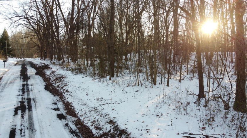 Discover this beautiful wooded lot in Hagar Township, just a few - Beach Lot for sale in Coloma, Michigan on Beachhouse.com