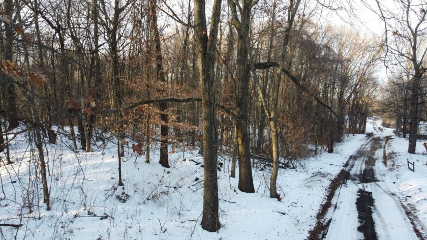 Discover this beautiful wooded lot in Hagar Township, just a few - Beach Lot for sale in Coloma, Michigan on Beachhouse.com