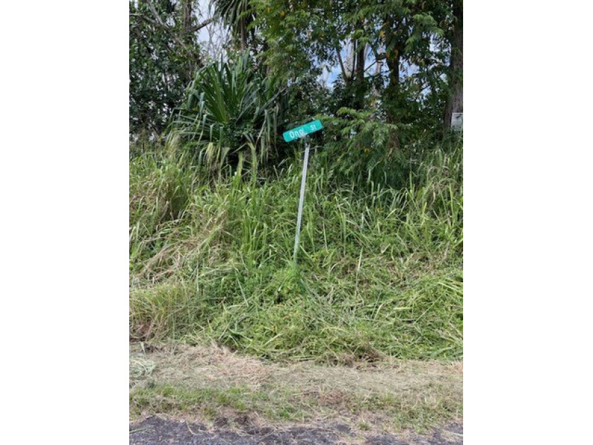 In the beautiful Hawaiian Shores Recreational Estates, this - Beach Lot for sale in Pahoa, Hawaii on Beachhouse.com