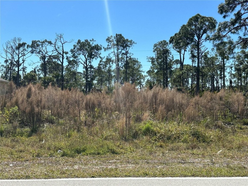 Already previously cleared and almost ready for you to build - Beach Lot for sale in Port Charlotte, Florida on Beachhouse.com