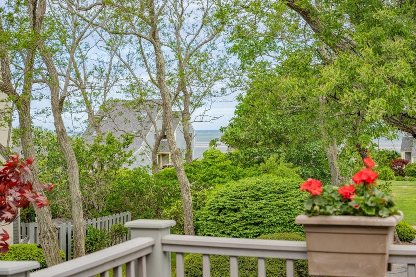 Sea Pines! With the blue of the Bay visible between the - Beach Condo for sale in Brewster, Massachusetts on Beachhouse.com