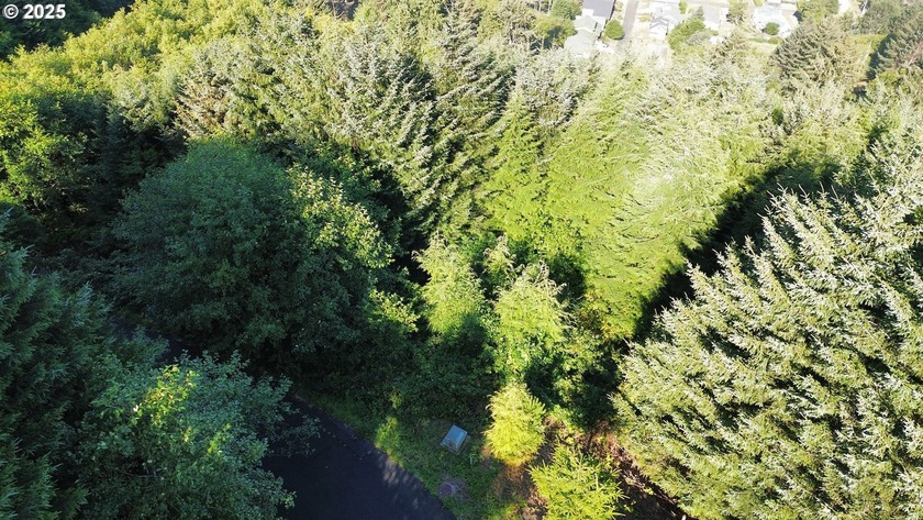 Build your dream coastal home on this .28-acre hillside lot with - Beach Lot for sale in Yachats, Oregon on Beachhouse.com