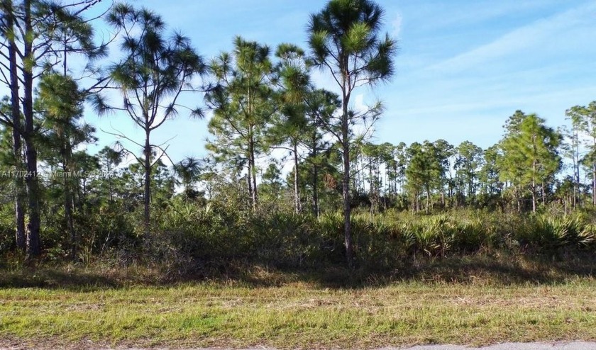 Fantastic Opportunity to build your dream home or investment - Beach Lot for sale in Port Charlotte, Florida on Beachhouse.com
