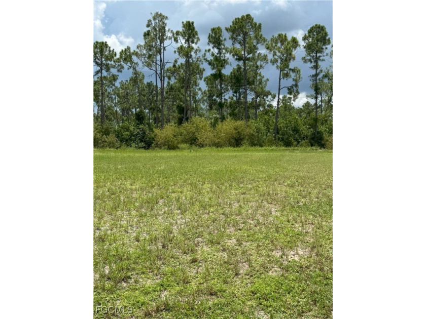 Flat Ready to Build with Utilities to Lot Your Dream Home - Beach Lot for sale in Punta Gorda, Florida on Beachhouse.com