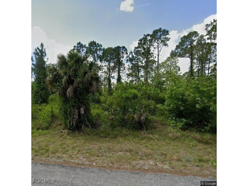 * Owner will accept any reasonable offer. Please no lowball - Beach Lot for sale in Lehigh Acres, Florida on Beachhouse.com