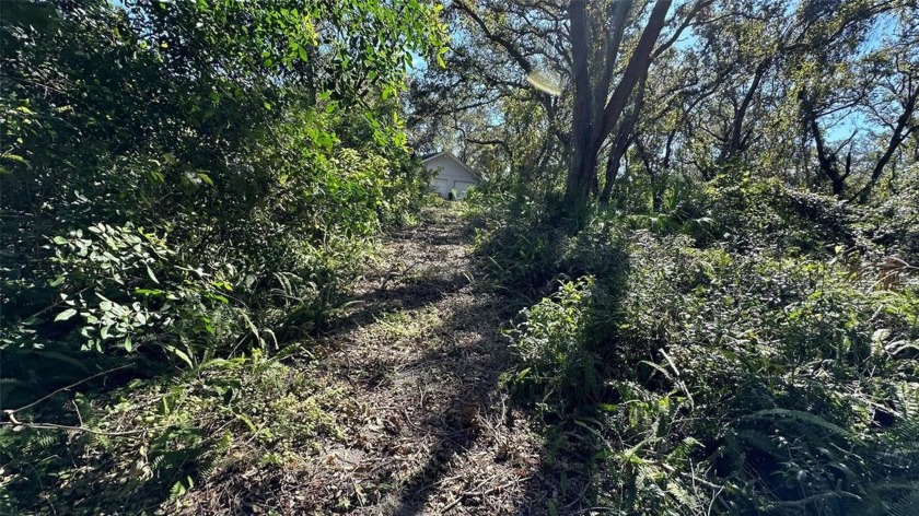 Palm Harbor Executive Acreage - Build Your Dream Estate
 - Beach Acreage for sale in Palm Harbor, Florida on Beachhouse.com