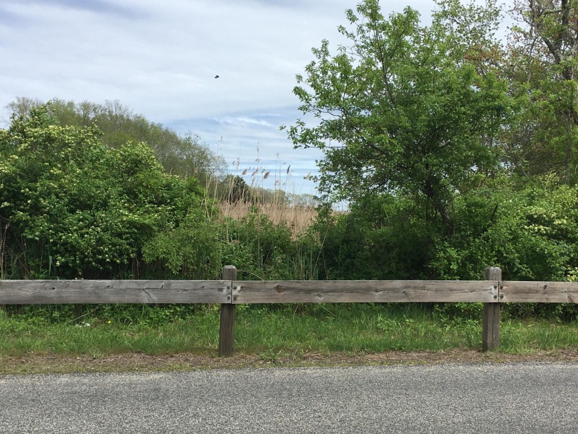 Rare offering of 20 plus acres with 200 plus feet of frontage on - Beach Acreage for sale in Sandwich, Massachusetts on Beachhouse.com