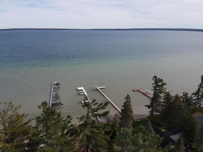 If you enjoy beach days, tanning, swimming and picnics, this - Beach Lot for sale in Cheboygan, Michigan on Beachhouse.com