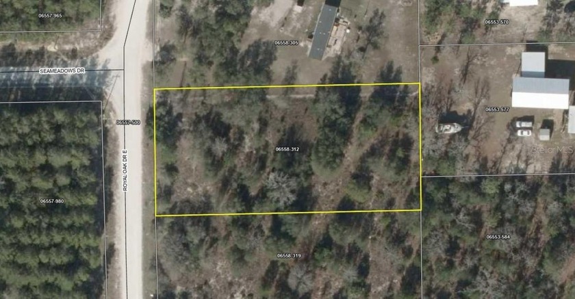 Don't look anywhere else, you have find the right place to build - Beach Lot for sale in Perry, Florida on Beachhouse.com