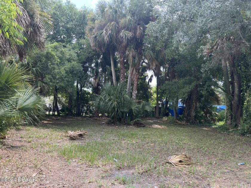 Centrally located lot that has been completely cleared, located - Beach Lot for sale in Daytona Beach, Florida on Beachhouse.com