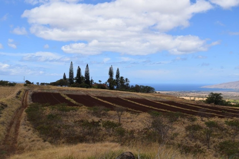 Enjoy expansive bi-coastal ocean and mountain views from this 8 - Beach Acreage for sale in Kula, Hawaii on Beachhouse.com