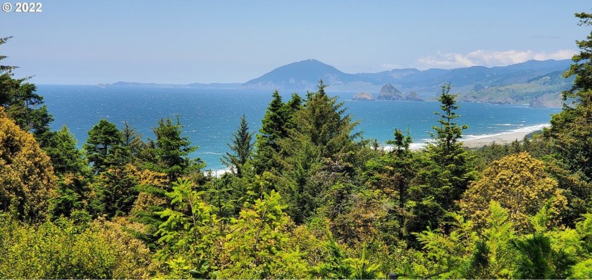 Nestled atop a picturesque landscape, this remarkable parcel of - Beach Lot for sale in Gold Beach, Oregon on Beachhouse.com