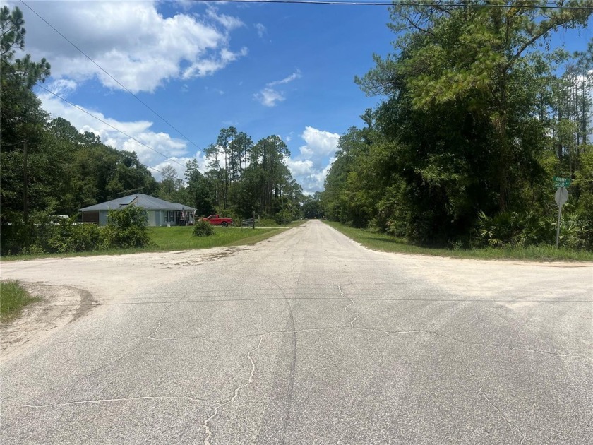 Why wait if you are looking for a country living? 0.93 acre - Beach Lot for sale in Bunnell, Florida on Beachhouse.com