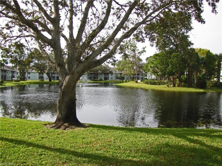 Located within Palm River (North Naples) this 2-bedroom + - Beach Condo for sale in Naples, Florida on Beachhouse.com