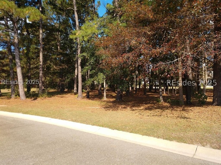 Fantastic wooded lot with no neighbors to one side.  Great - Beach Lot for sale in Bluffton, South Carolina on Beachhouse.com