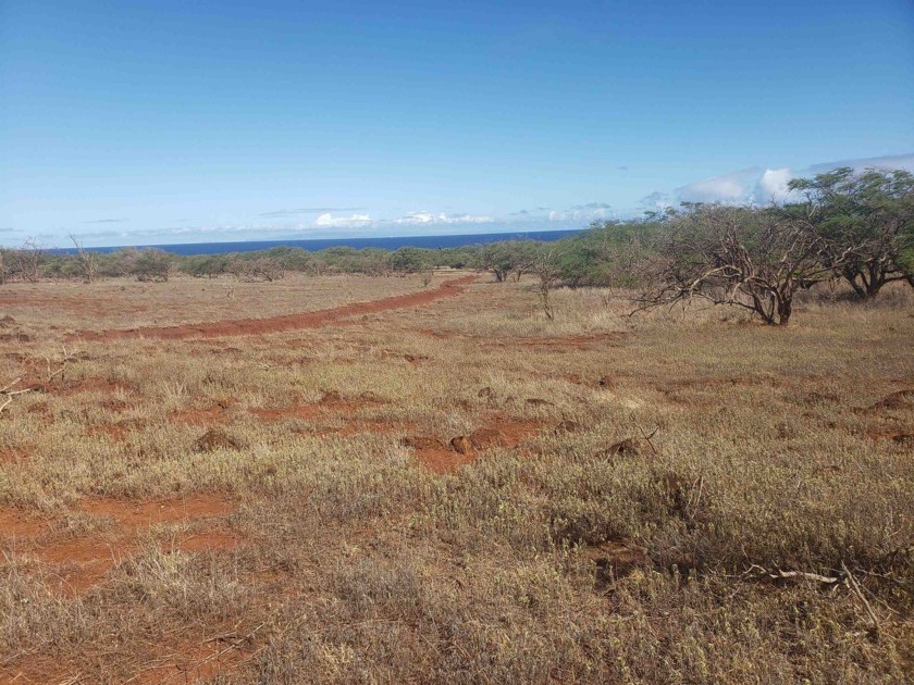 Large wooded 21 acre+ parcel on the sunny West end of Molokai - Beach Acreage for sale in Maunaloa, Hawaii on Beachhouse.com