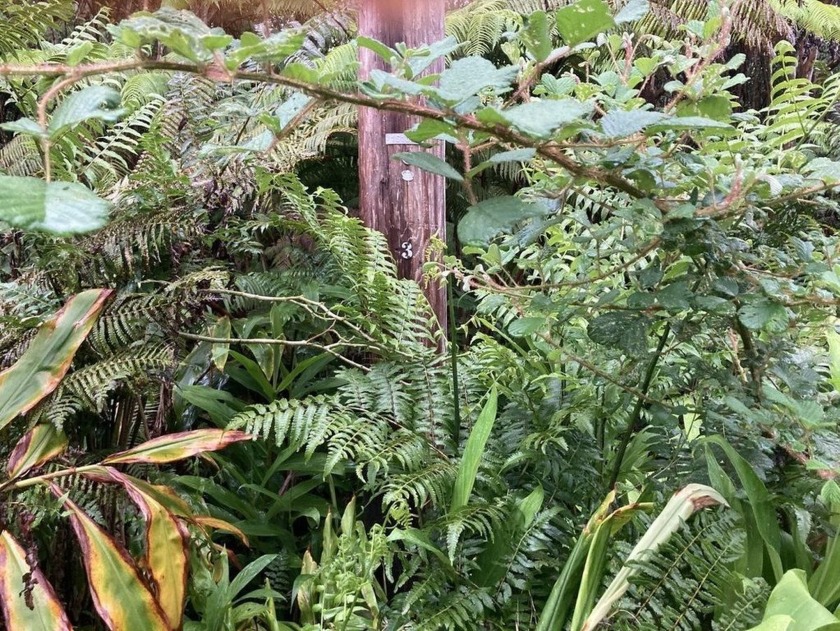 SIDE BY SIDE LOTS, WITH THE ADJOINING LOT TMK 3-1-8-23-54 - Beach Lot for sale in Volcano, Hawaii on Beachhouse.com