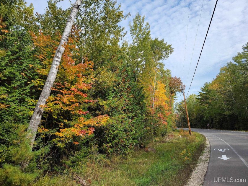 Wooded lot near Indian Lake! This property would make a great - Beach Lot for sale in Manistique, Michigan on Beachhouse.com
