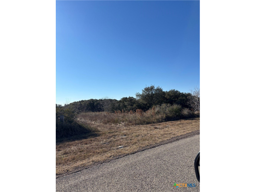 5 Acre Tract (330' x 660') on Lane Road! Corner tract in Deer - Beach Acreage for sale in Seadrift, Texas on Beachhouse.com
