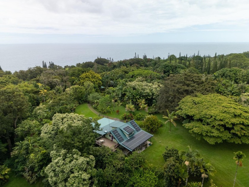 14.9 acre tropical estate and working farm with an off-the grid - Beach Home for sale in Hana, Hawaii on Beachhouse.com