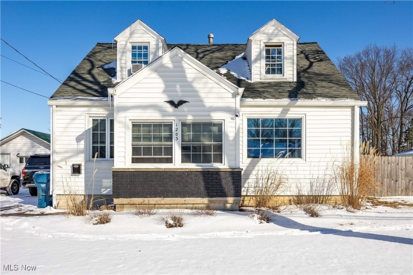 Welcome to 1203 State St, a beautifully remodeled home nestled - Beach Home for sale in Vermilion, Ohio on Beachhouse.com
