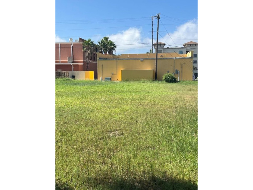 this is a very large long lot in a very private community.  No - Beach Lot for sale in South Padre Island, Texas on Beachhouse.com