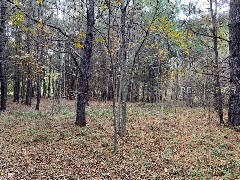 Rare opportunity on St. Helena Island! Beautiful 1-acre wooded - Beach Lot for sale in Saint Helena Island, South Carolina on Beachhouse.com