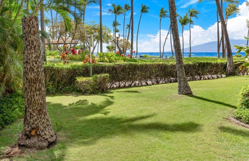 Welcome to Kaanapali Alii 3-102, a rarely available ground floor - Beach Condo for sale in Lahaina, Hawaii on Beachhouse.com