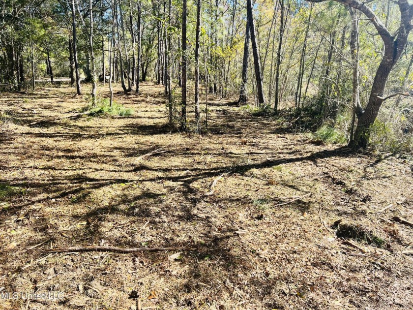 Water front lot come build your Dream Home! Don't miss out - Beach Lot for sale in Bay Saint Louis, Mississippi on Beachhouse.com